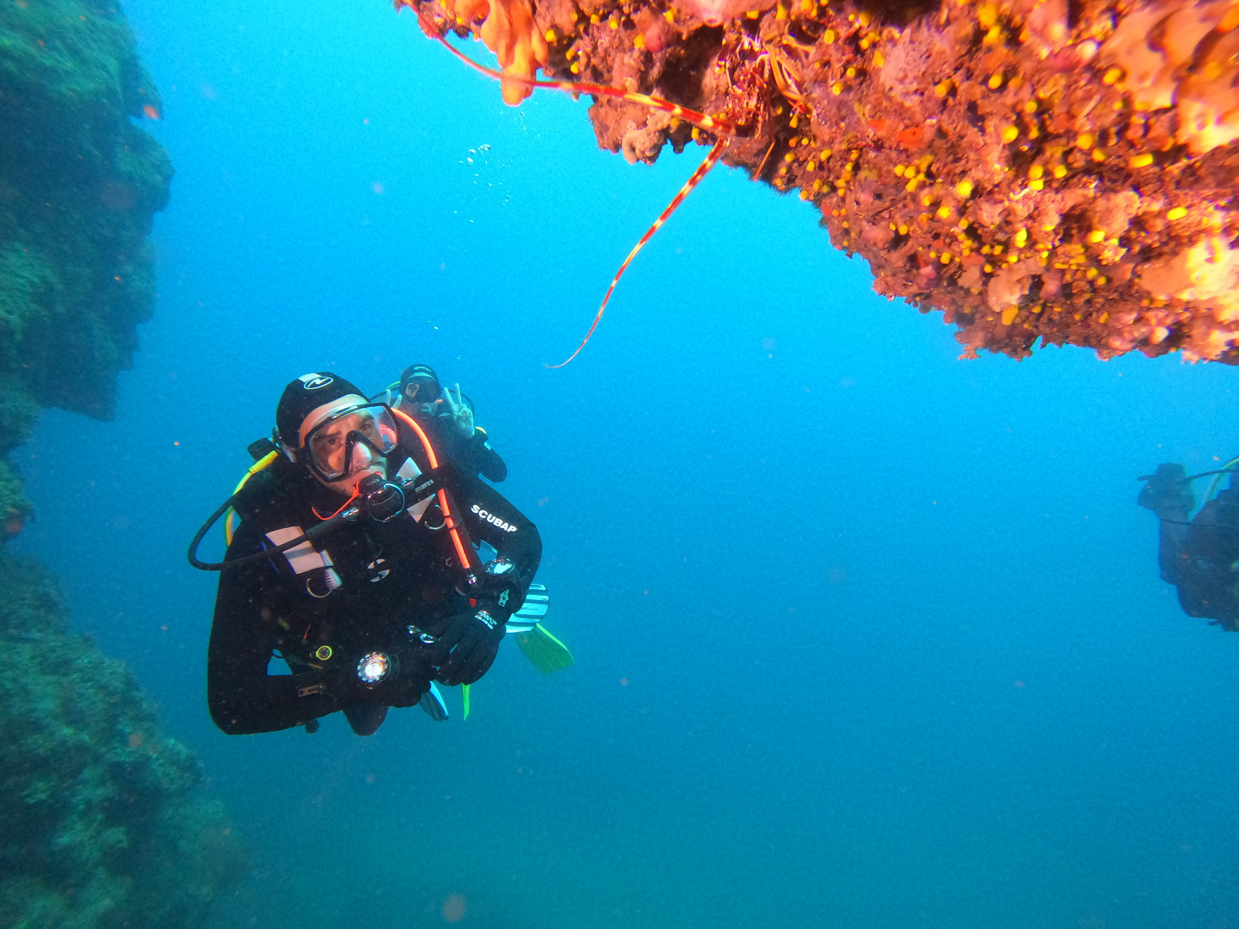 Basic Diver looking at the lobster