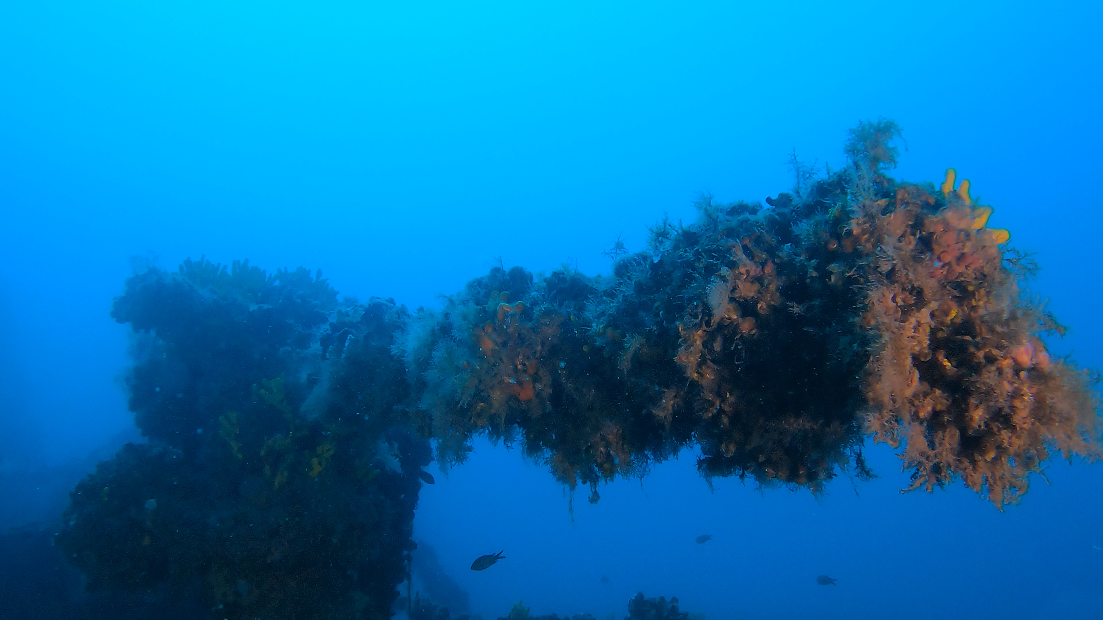 Gladiator Wreck Canon