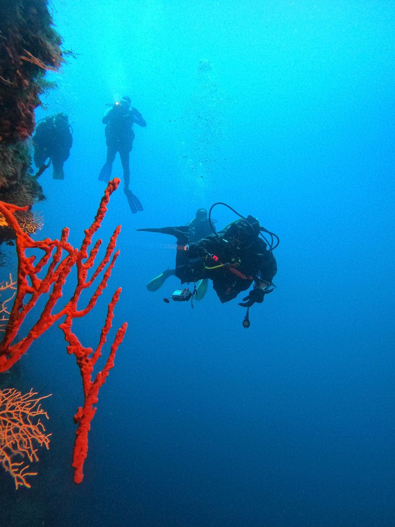 Divers with a guide on a wall dive