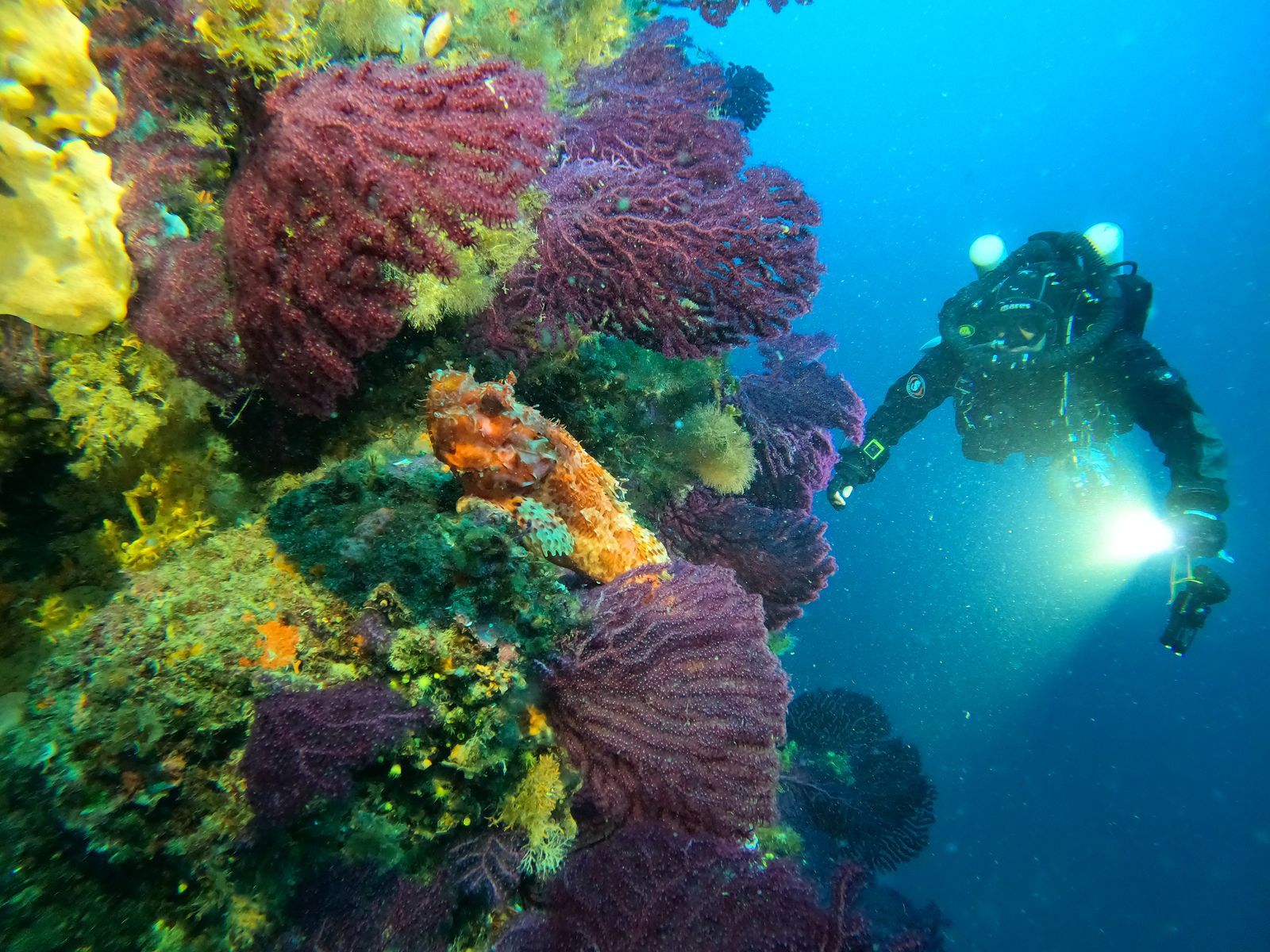 CCR Diving (Rebreather)