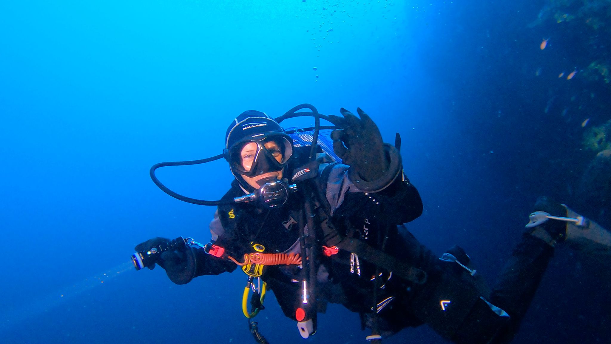 React Right Diver