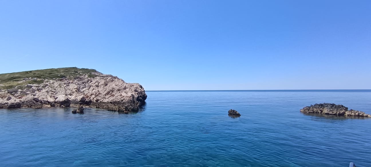 panitula mala