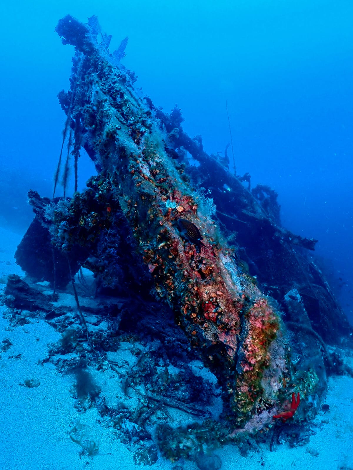 Broko wreck