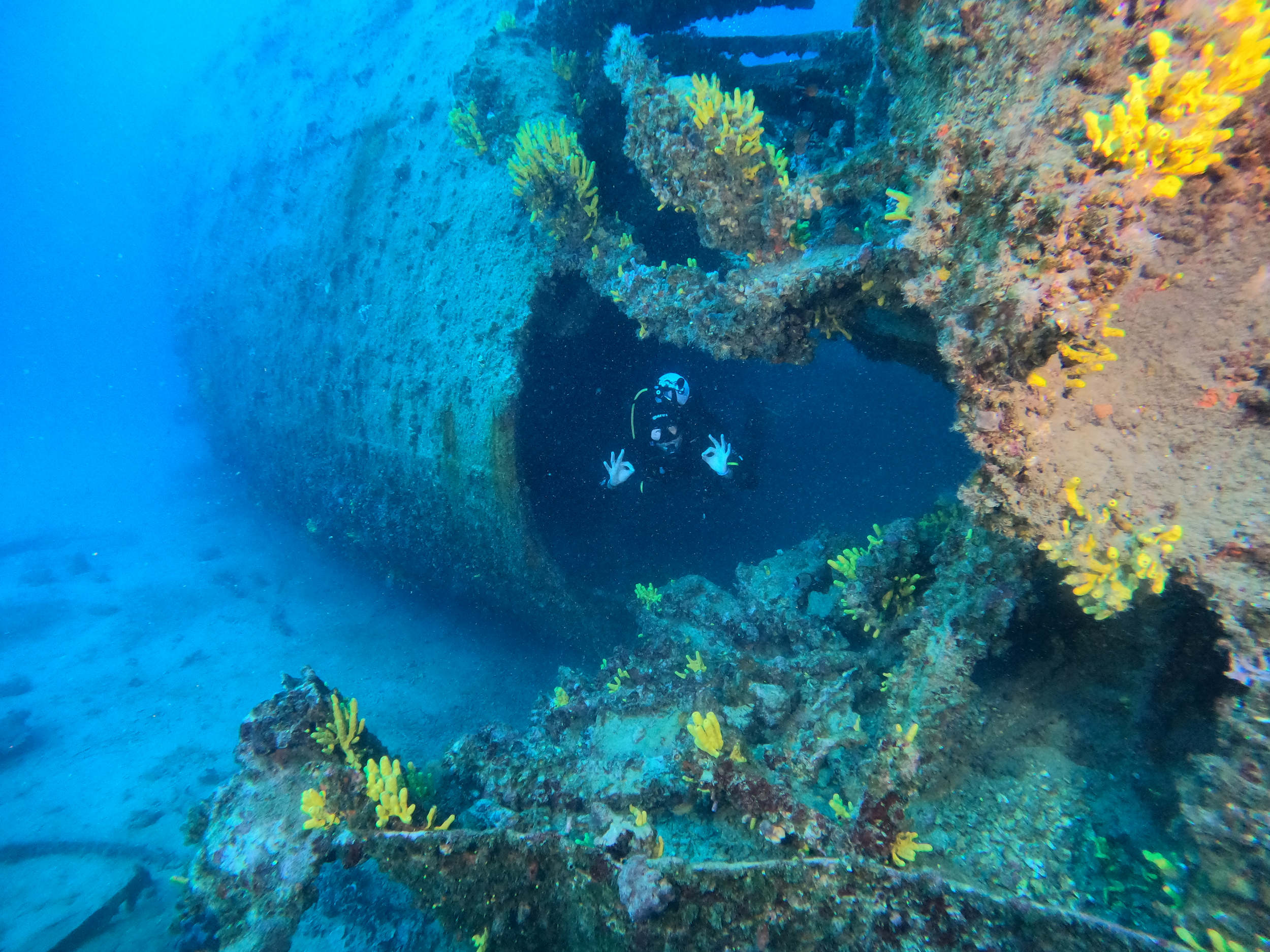 Diver on Francesca di Rimini shipwreck