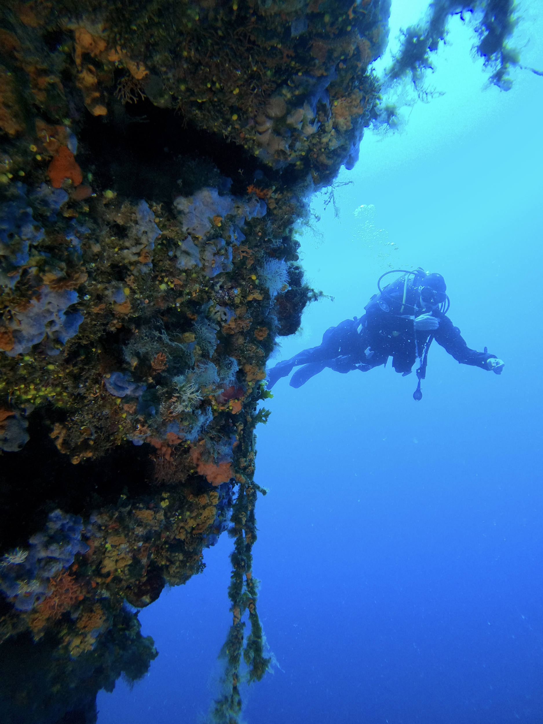 Diver on a deep reef wall